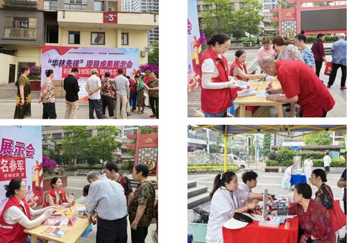 華林先鋒黨組織服務(wù)群眾項(xiàng)目成果展示交流活動(dòng)圓滿落幕 黨建引領(lǐng)服務(wù)，共建美好社區(qū)