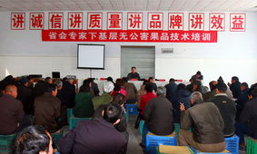 科技賦能，服務(wù)下沉——省會(huì)專家服務(wù)辛集行活動(dòng)圓滿落幕